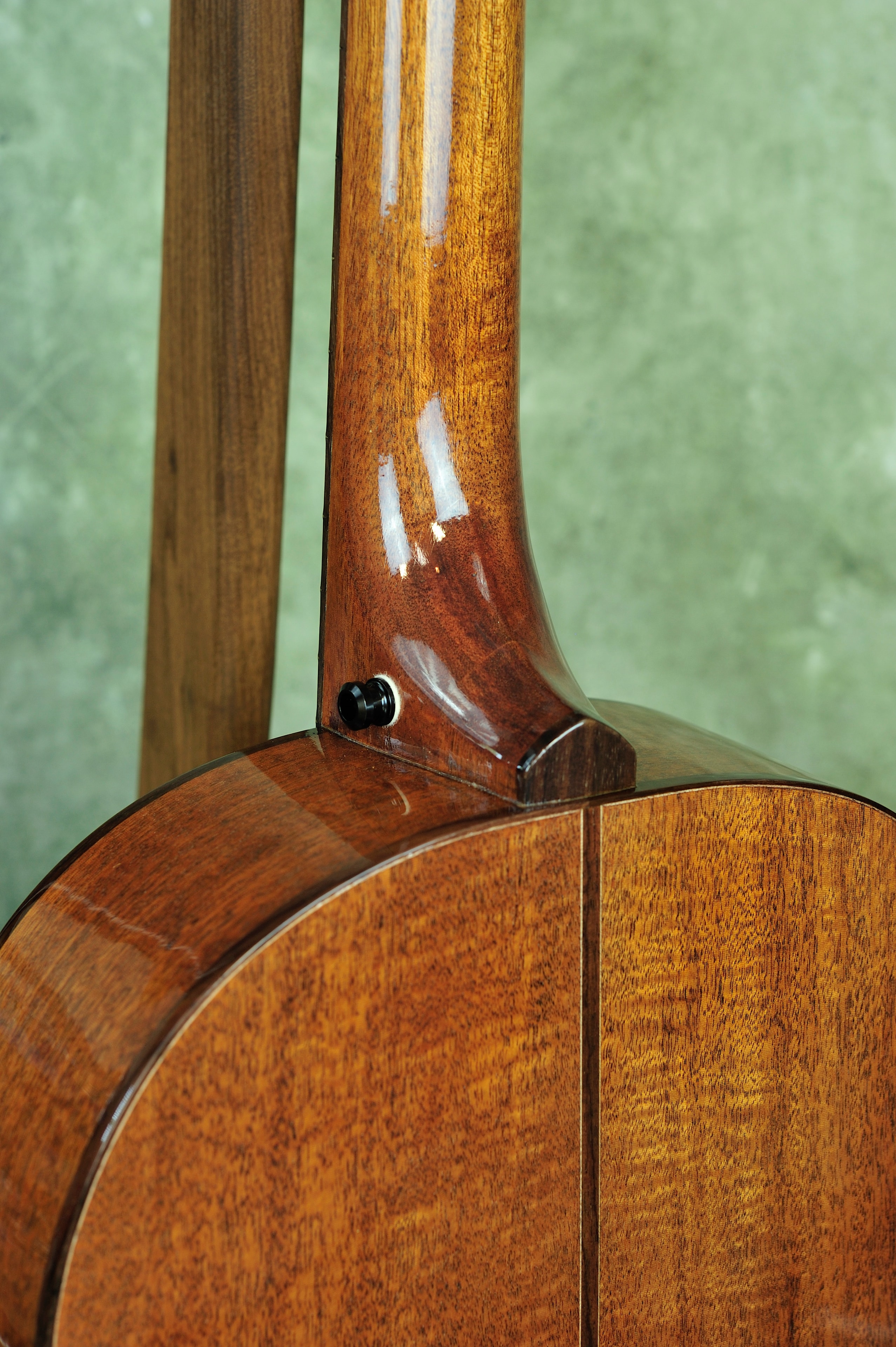 MRK01D-0516E — fingerboard detail showing rosewood with pearl dot bridge pins