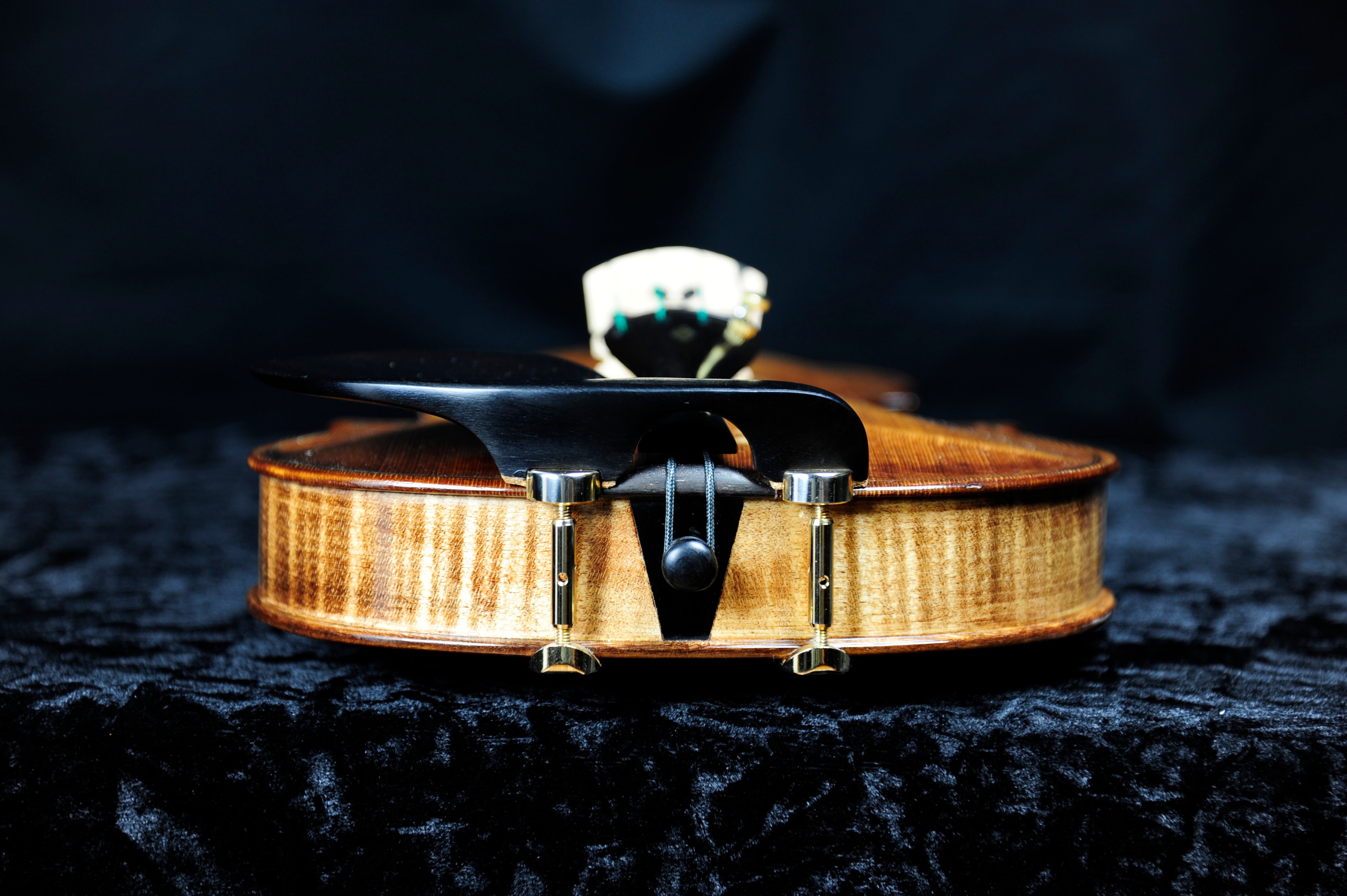 MRK01V-0520 — bridge and tailpiece detail