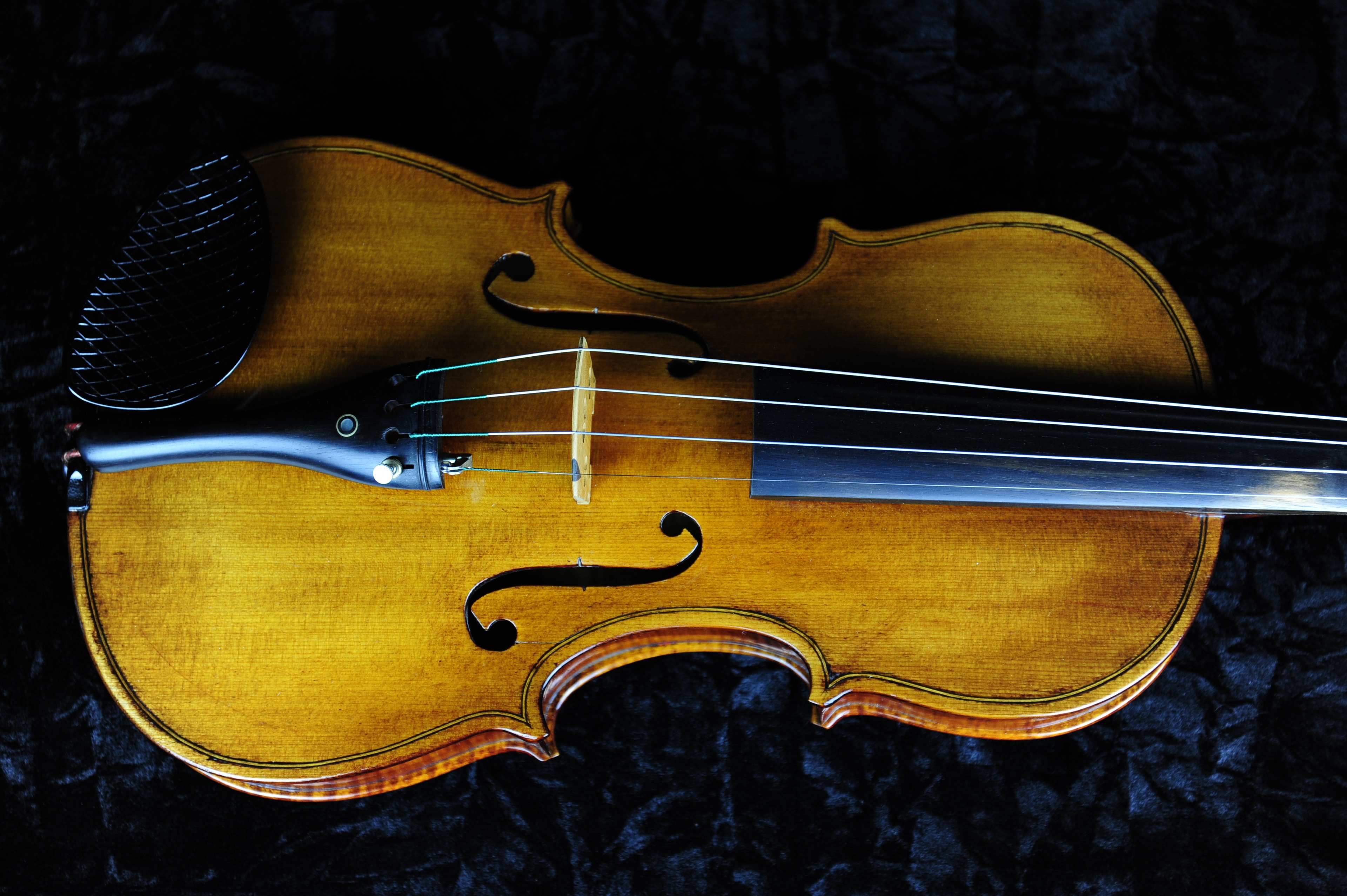 Stradivarius Model Violin — pegbox and scroll showing aged ebony pegs