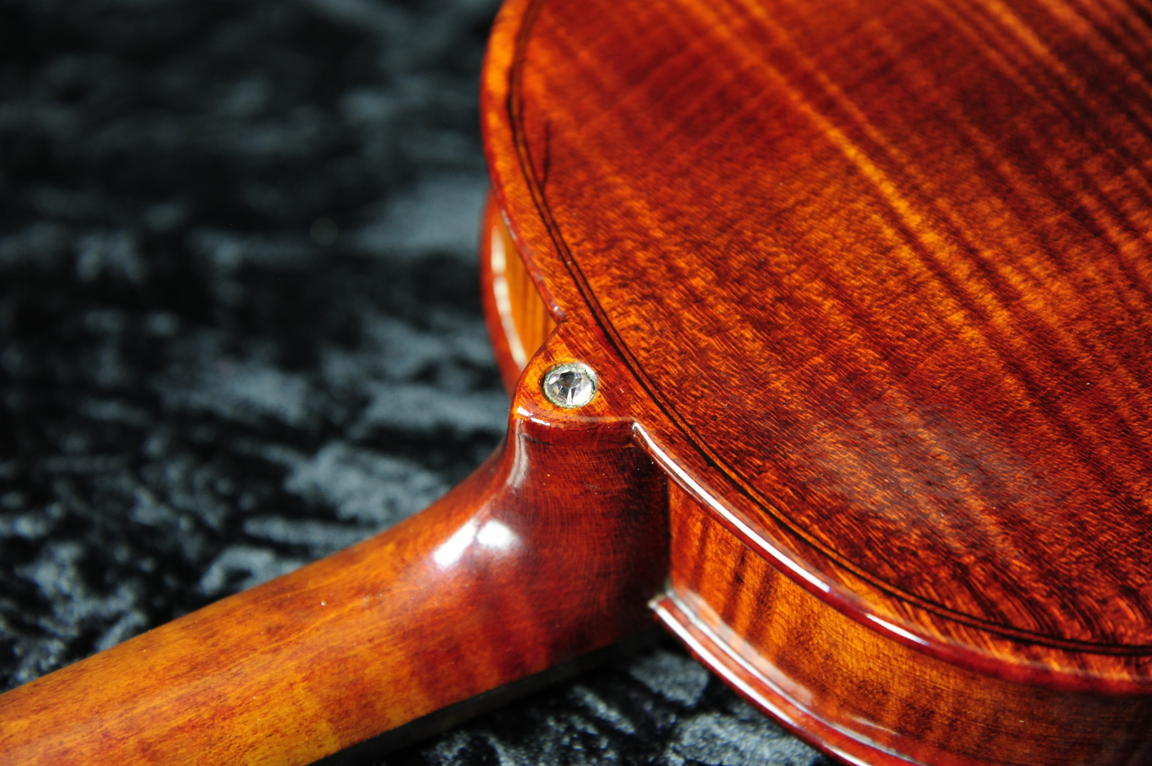 Stradivarius Model Violin — angled back view showing flamed maple and scroll